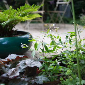 Shady Town Garden