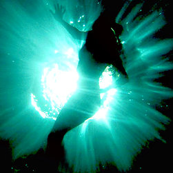 The Living Light: Mer - Fine Art Prints