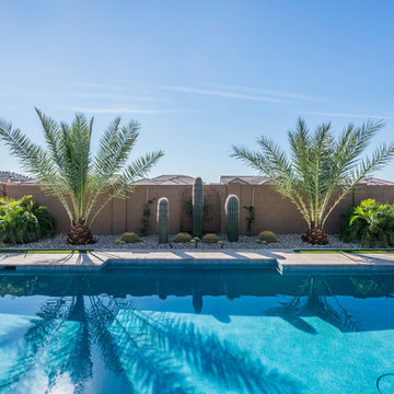 Tropical Pool & Landscape in Queen Creek