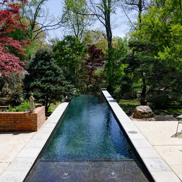 Contemporary-style Lap Pool with Vanishing Edge