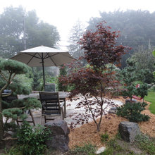 Patio and Japanese Garden