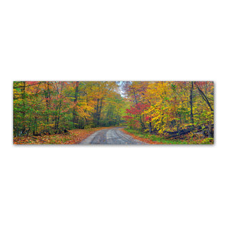 Doug Cavanah 'Autumn Road' Canvas Art, 10