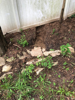 Drainage Issues in Back Yard - French Drain