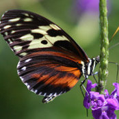 Foto von Nan Wilson