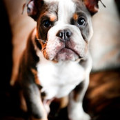 Jennifer Gee's photo