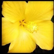 Luanne Ashcraftさんの写真