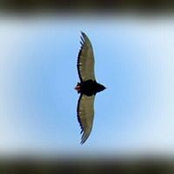 Paul Helmbold's photo
