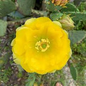 Maureen Middleton's photo