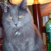 Renate Schulte's photo