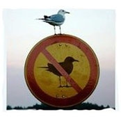 Frank Chamberlain's photo