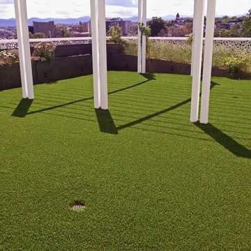 LoHi Artificial Grass Balcony