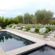 Pool Landscape