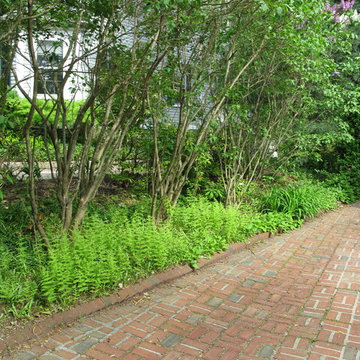 Brookline Borders