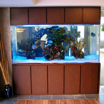 Custom Aquarium Designs
