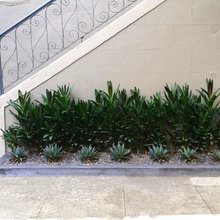 sidewalk