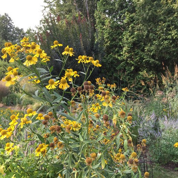 Meadow Planting, Westport CT