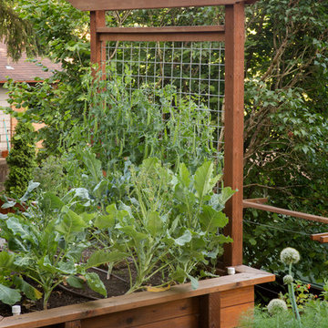 Josh and Dawn's full yard renovation