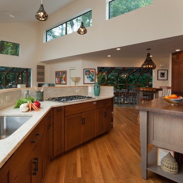 Transitional Kitchen Design Reston, VA