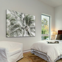 Tropical Trees - Products