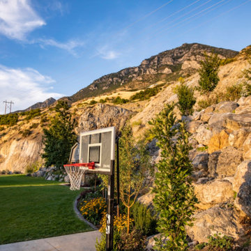 Basketball Hoop