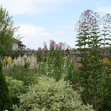 Natural Landscaping