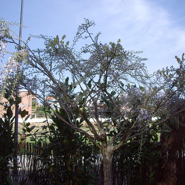 Jardín particular Oleiros