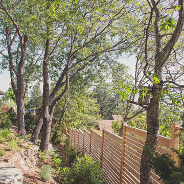 Cedar Privacy Fence