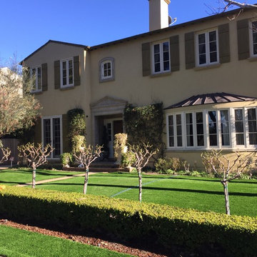 Artificial Grass Front Lawn