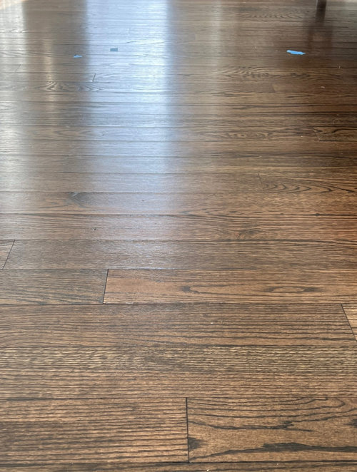 wood floors lifting