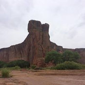 Teresa Snyder's photo