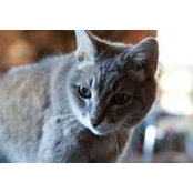 John McClung's photo