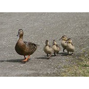 Jill Wilde's photo