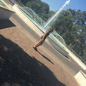 Joanna Kaiser's photo