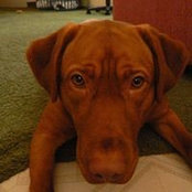 Emma Kroll's photo