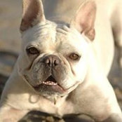 Lenee Dahl's photo