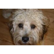 Sarah Ferguson's photo