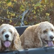 Foto de Button N Susie Seaton
