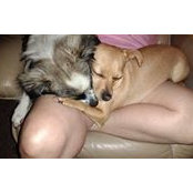 Rhonda Faris's photo