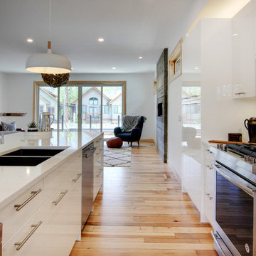 Georgian Modernist Duplex
