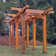 grape arbor