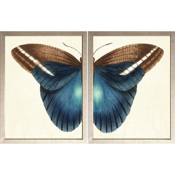 Butterfly Duo - Small Framed Art Print