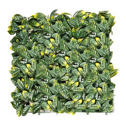 UltraHedges Photos - Products