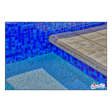 (Reichard) Superior Pools Swimming Pool/Spa Raised Area With 3 Brass Scuppers