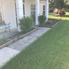 Landscape help!