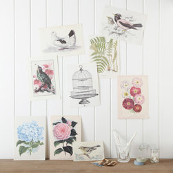 assorted vintage prints - Prints & Posters