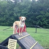 Sandy Thompkins's photo