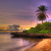 Shmaya Schwartz's photo
