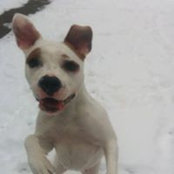 Nick Yates's photo