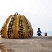 Kimi Ng's photo