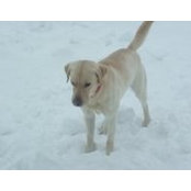 Donna Lindberg's photo